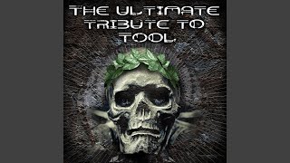 Sober (A Tribute To Tool)
