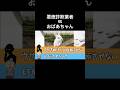 おばあちゃんvs孫を騙る詐欺業者