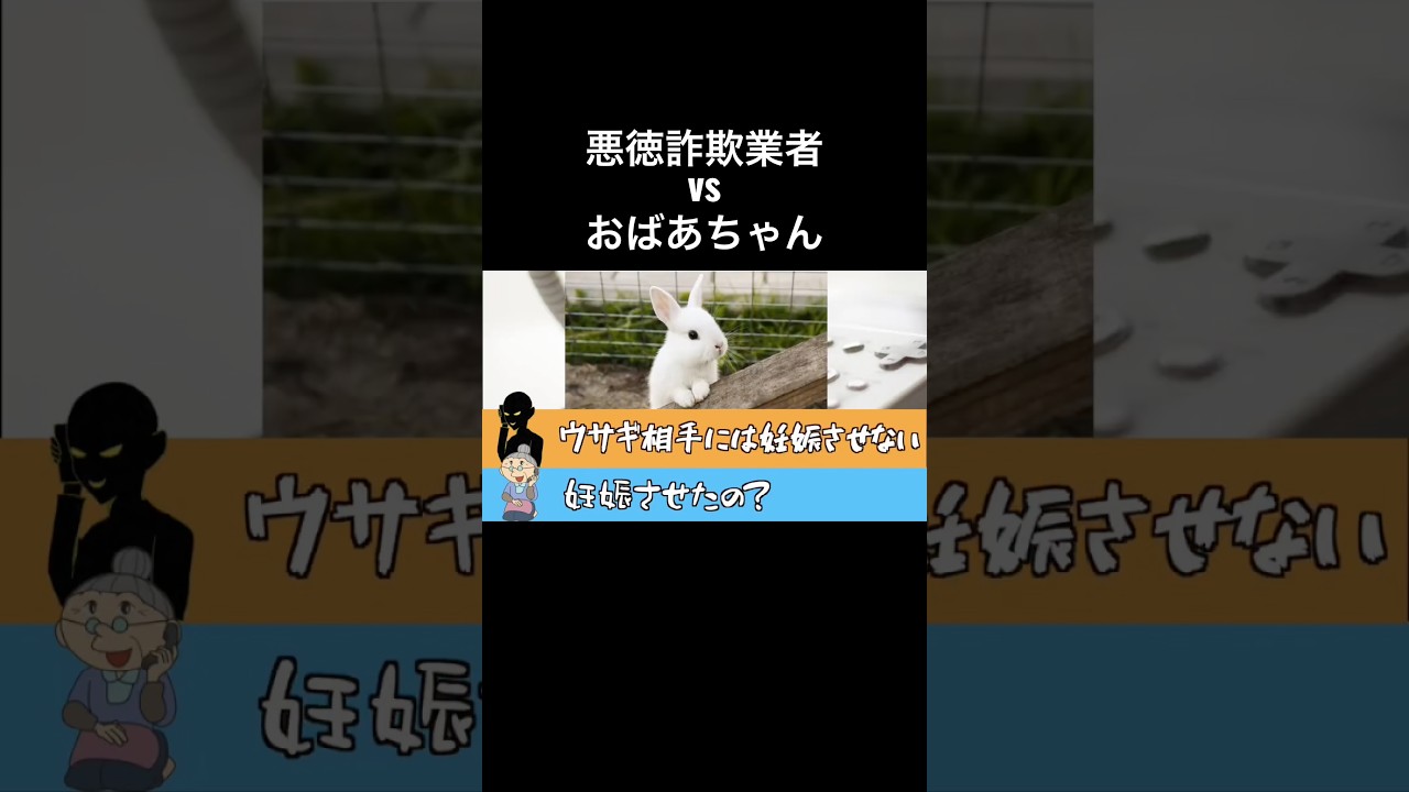 おばあちゃんvs孫を騙る詐欺業者