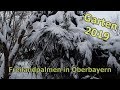 Oberbayerische Palmen im Schnee ** Hanfpalmen, Honigpalme (Jubaea), Oleander im Freiland **