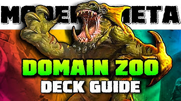 Domain Zoo Deck Tech - Introduction to Modern