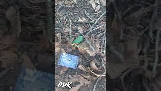 Уничтожение мины- лепесток ПФМ-1 кирпичом в Донецке. Не повторять!
