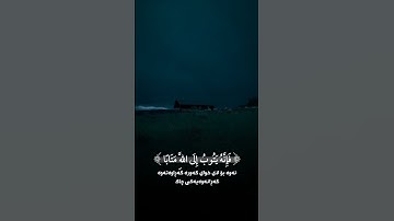 Day 1/365 of daily Islamic videos #islamic #quran #tilawat #viral #fypシ゚viral #muslim