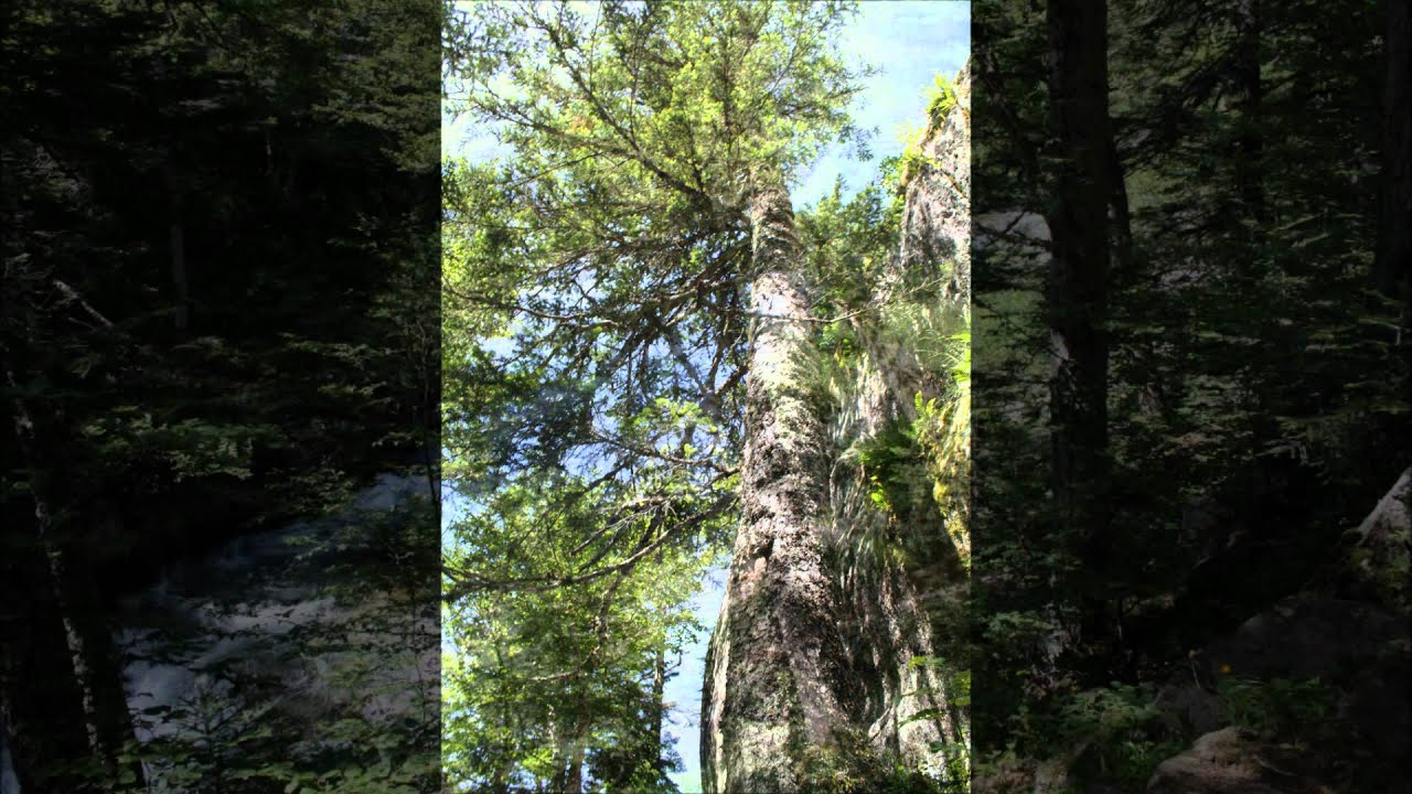 Le chemin des cascades