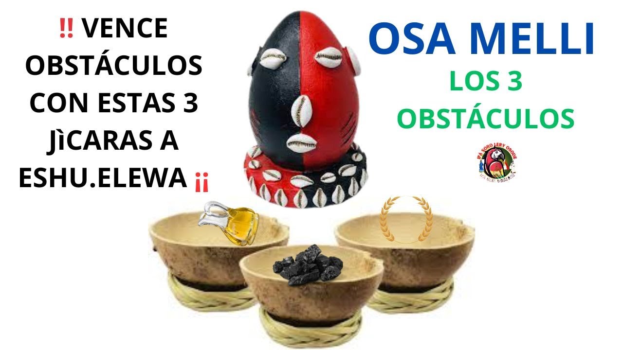 OSA MELLI 9-9 LOS 3 OBSTÁCULOS..