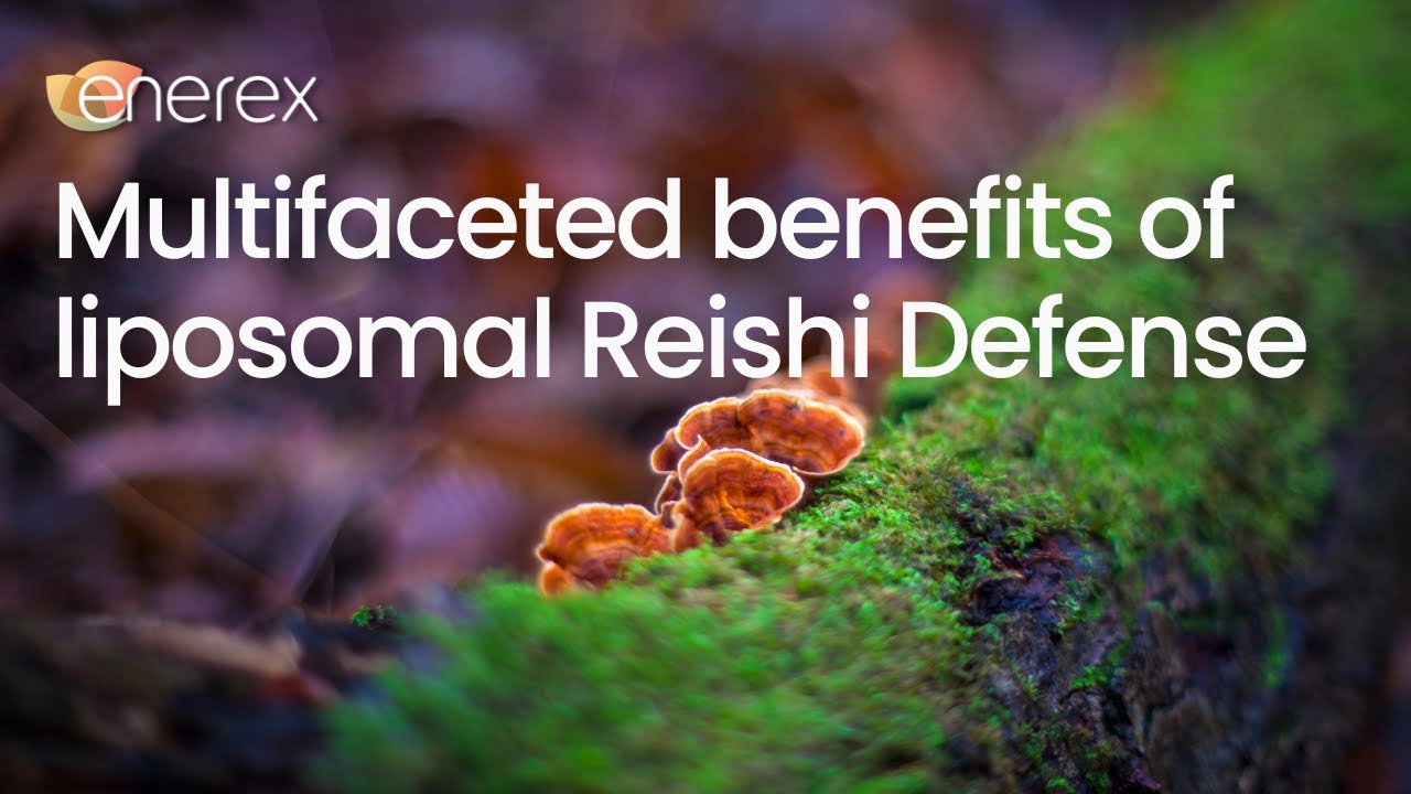 The Unbelievable Benefits of Reishi Mushroom Inflammation, Immunity