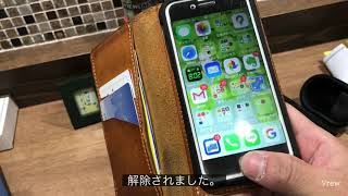 初めてのレビュー！　SHURE コンデンサーマイク MOTIVシリーズ MV88A iPhone iPad用  3日目の朝撮影4日目の朝編集動画