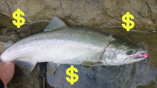 Best Budget Pink Salmon Combo by Holy Moly Outdoors 1,456 views 7 months ago 6 minutes, 12 seconds