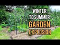 From Bare to Bountiful: My Garden’s Beautiful Winter-to-Summer Transformation!