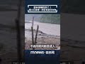 藍白合對關稅的反應