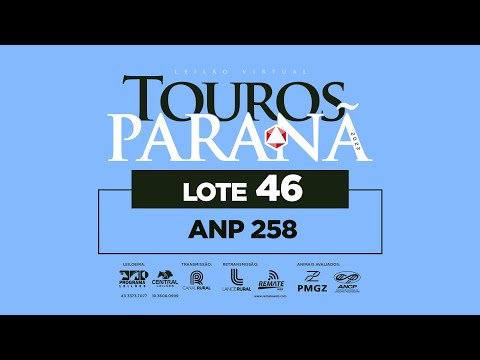 LOTE 46 ANP 258