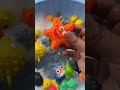 Ocean Animals for Kids | Learn Sea Creatures with Fun Toys | Educational Video for Toddlers 🌊🐙