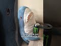 UPDATE ON CHANNEL #update #sharks #hehehehe #fypシ゚viral