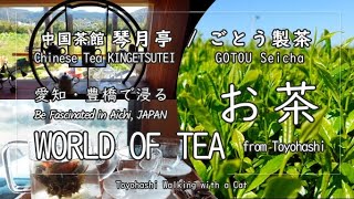 【AICHI JAPAN】World of TEA from Toyohashi ～Chinese Tea KINGETSUTEI / GOTOU Seicha～ screenshot 4