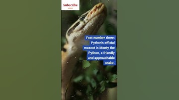 10 Python Facts You Didn