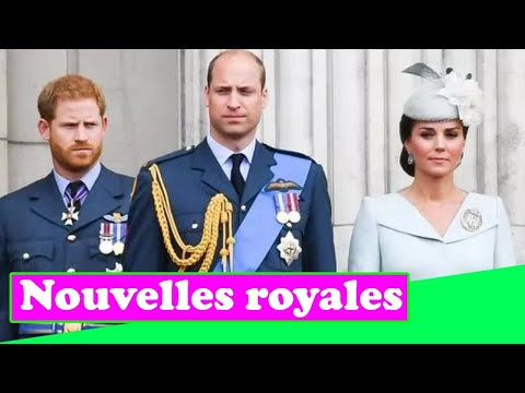 Vidéo: Camila Cabello Rompt Le Protocole Visite Du Palais De Kensington