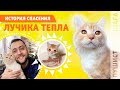 ИСТОРИЯ СПАСЕНИЯ ЛУЧИКА ТЕПЛА