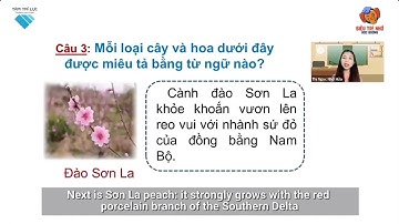 L2 TV B9 ĐỌC Cây và hoa bên lăng Bác P2