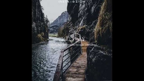 اجمل حالات واتس اب قران كريم بصوت جميل جدا💚 ||خالد الجليل ||💚-- تلاوات خاشعة
