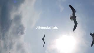 Puisi Dian Sastro, Sujudku Alhamdulillah