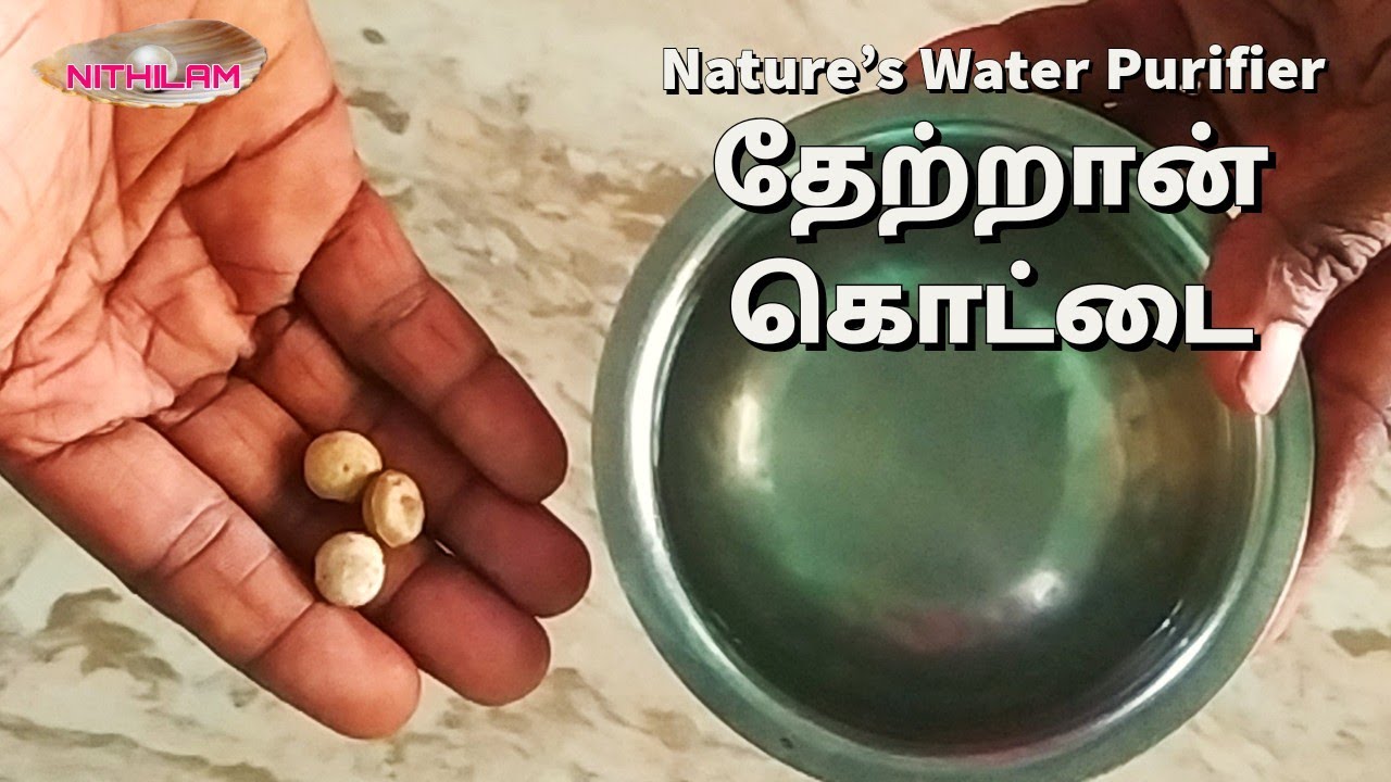 தண்ணீரை சுத்தீகரிக்கும் தேற்றான் கொட்டை | Thetran Kottai | Nirmali