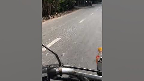 Cây Thốt Nốt Hình Trái Tim part 1