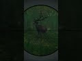 Diamond Red Deer 🦌 COTW #hunting #deer #videogames