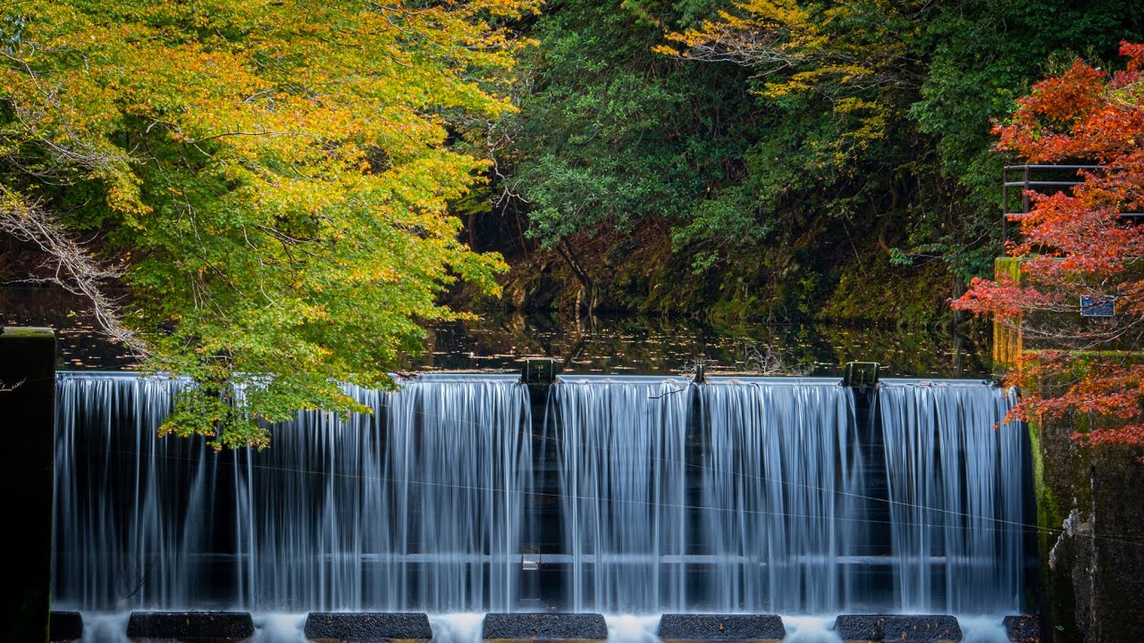 takao-kyoto-autumn-leaf-viewing-2022-11-11-fujifilm-x-h1