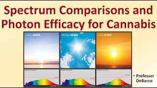 Spectrum Comparisons and Photon Efficacy for Cannabis