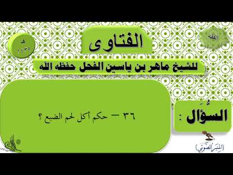 ما حكم أكل لحم الضبع