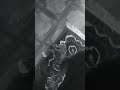 29 октября 2023 г.