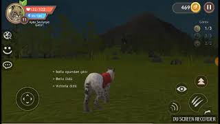 Kurt ,vaşak , tilki screenshot 3