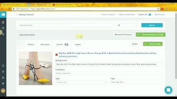 13 How to Finalize and Publish the Products from Oberlo to Shopify  - Jessica