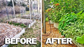 How I transformed my garden with these beds