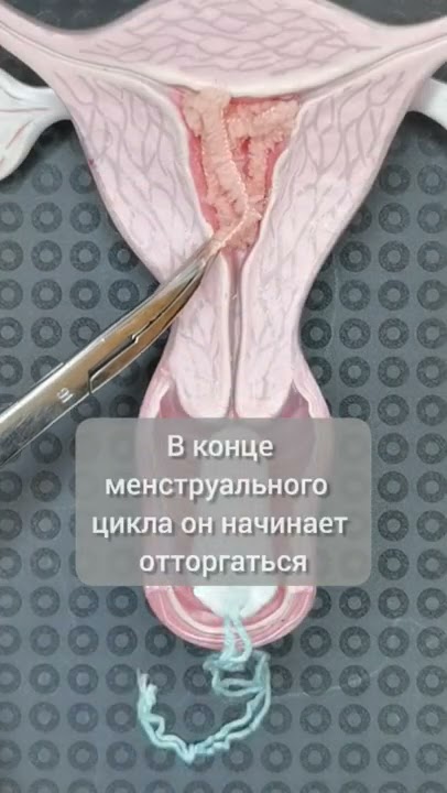 бег перед менструацией