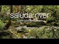 Saluda River Springtime Stream | Full HD 1080P