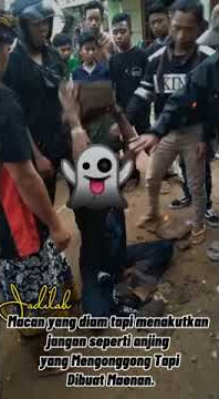 story wa jaranan pecah 15 genteng dengan kepala #short #foryou #fyp  #jaranan