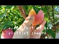 video test redmi note 10pro 108 megapixel my new vlogging camera.