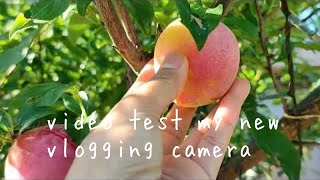video test redmi note 10pro 108 megapixel my new vlogging camera.