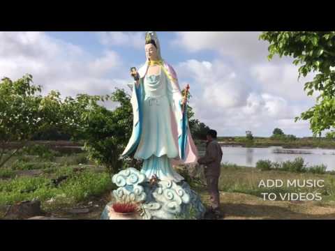 Video Chùa Phật Bà Nam Hải-Bạc Liêu đông đúc phật tử!!!! - youtube