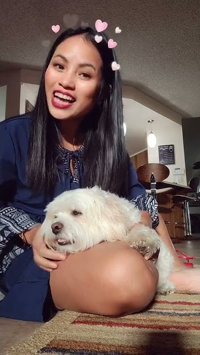 i-wish-i-can-hug-you-right-now-shorts-shortvideo-hugs-puppy