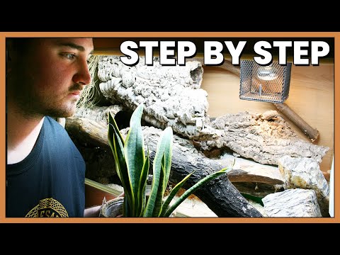 How To Set Up a Snake Enclosure!