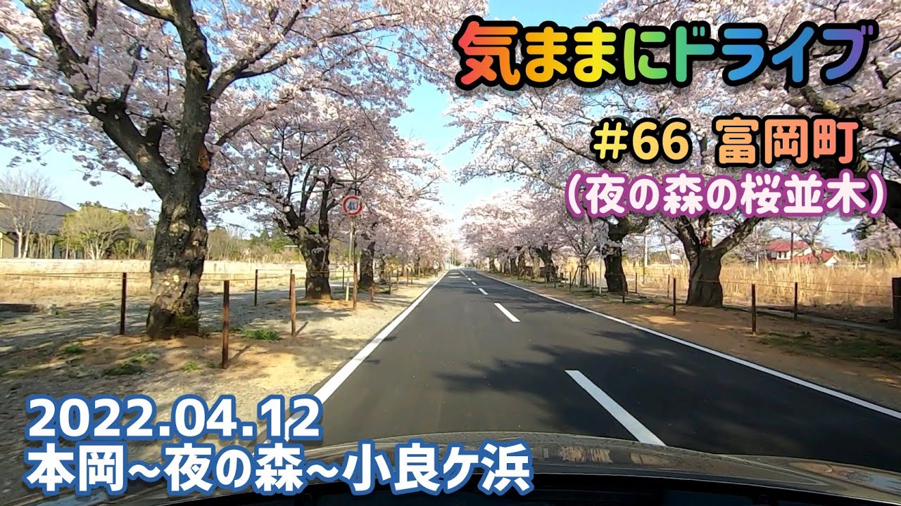 気ままにドライブ ＃66  富岡町（夜の森の桜並木）福島県双葉郡富岡町本岡～小良ケ浜【車載動画/2022.04.12】