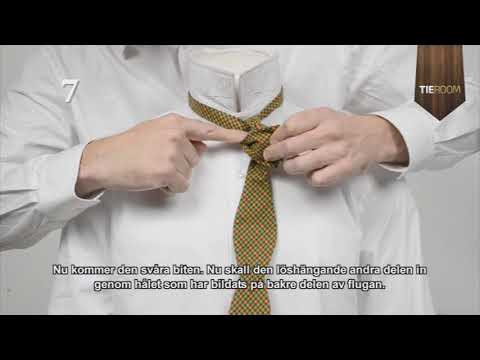 Video: Skillnaden Mellan Halsband Och Fluga