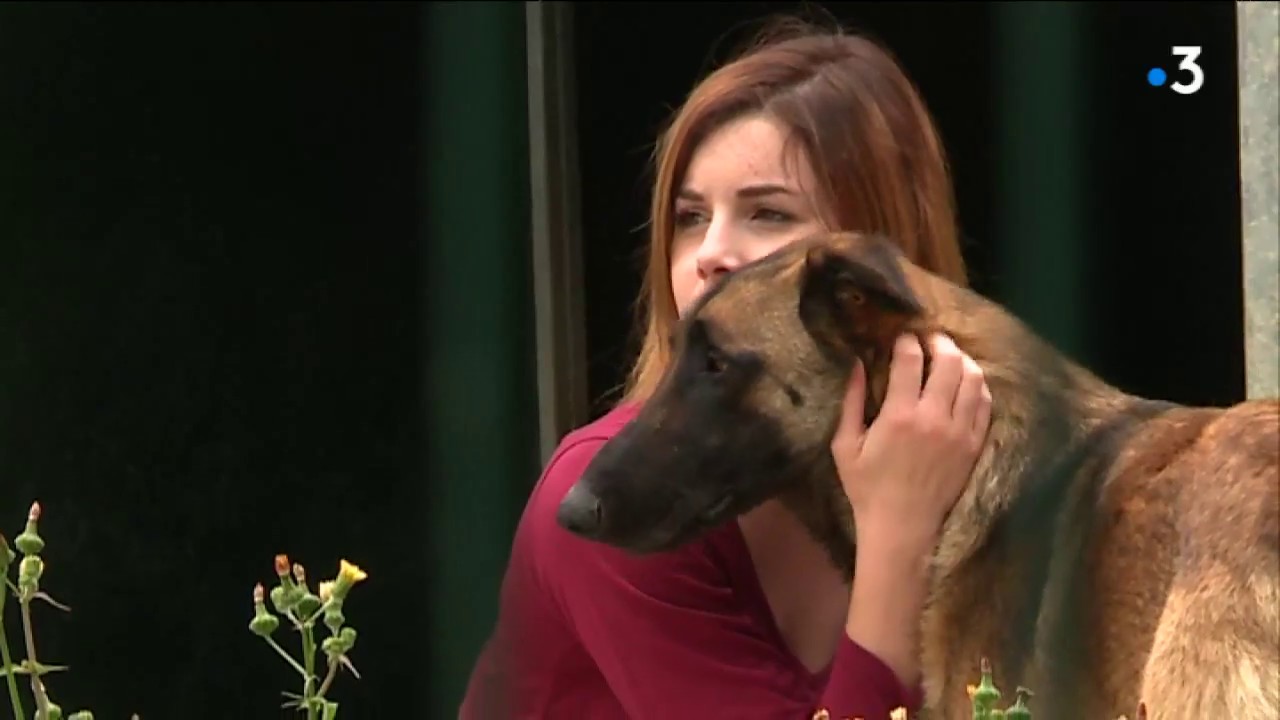 A Bouguenais au sud de Nantes, un refuge pour animaux est