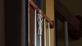 Meet Sinjen The Skeleton