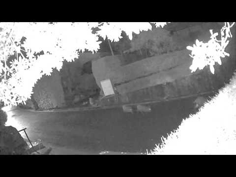 EDR January #17 2020 Unknown People Passed