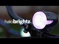 Halo brightz