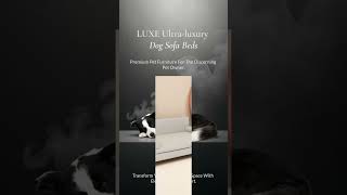 LUXE Ultra-Luxury Dog Sofa Beds