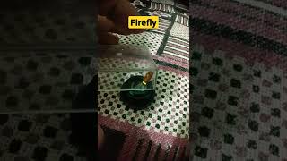 Musical Firefly | जुगनू . #Shorts #mineclip